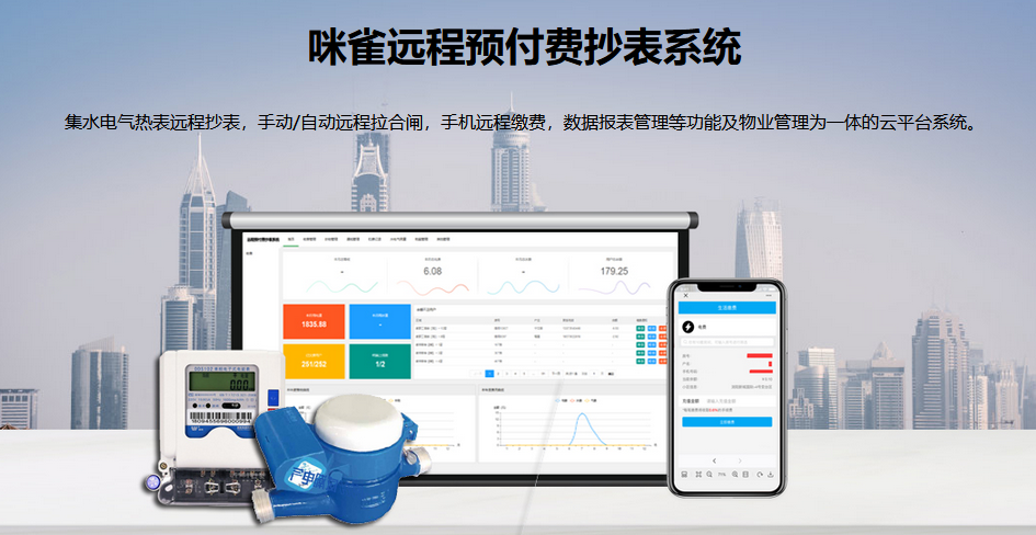遠程智能水表抄表系統(tǒng)